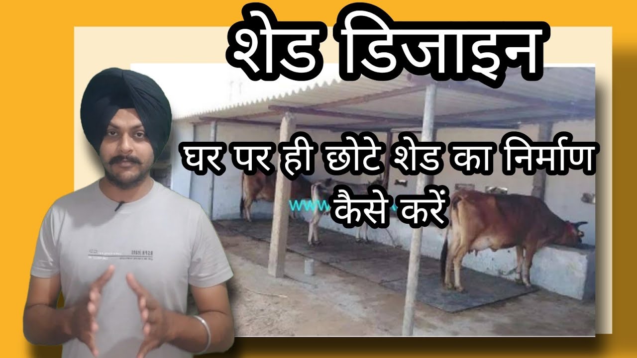 How to prepare a small scale dairy farm shed at home |