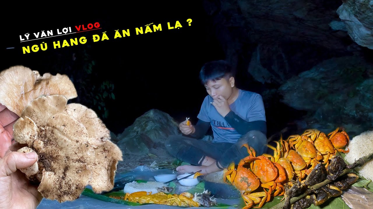 Ăn Loài Nấm Lạ Một Mình Qua Đêm Trong Hang Đá - Vào Rừng Sâu Kiếm Dược Liệu | Lý Văn Lợi Vlog