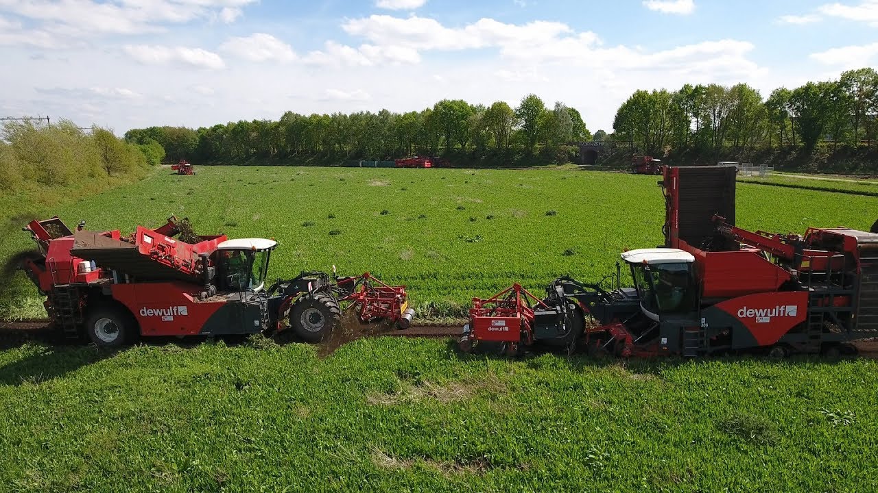 5 DEWULF self-propelled harvest vegetables