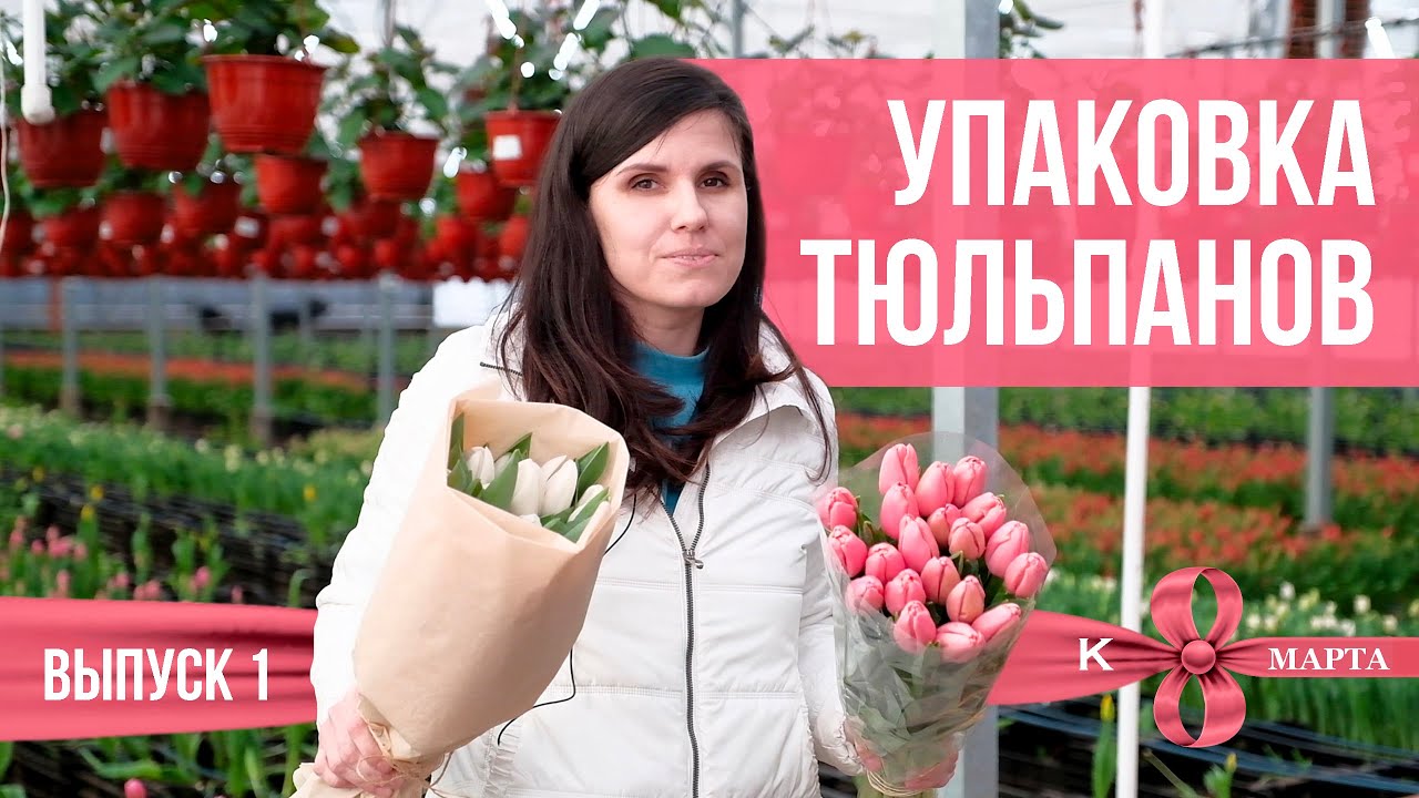 Упаковка тюльпана в БУМАГУ.