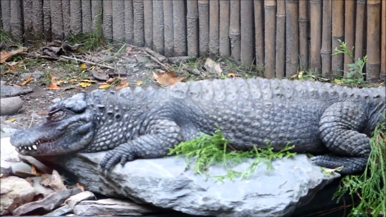 Roger Williams Park Zoo / October 2011