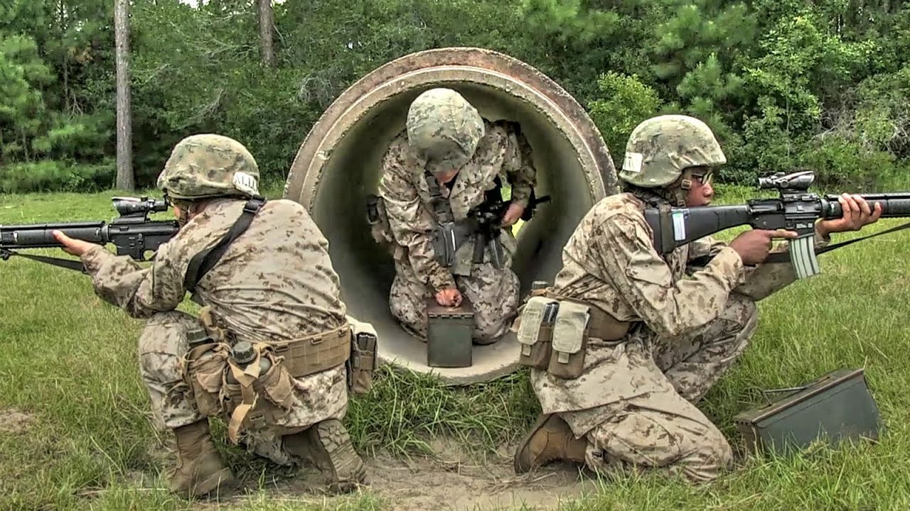 Female Marine Recruits Undergoing The Boot Camp Crucible