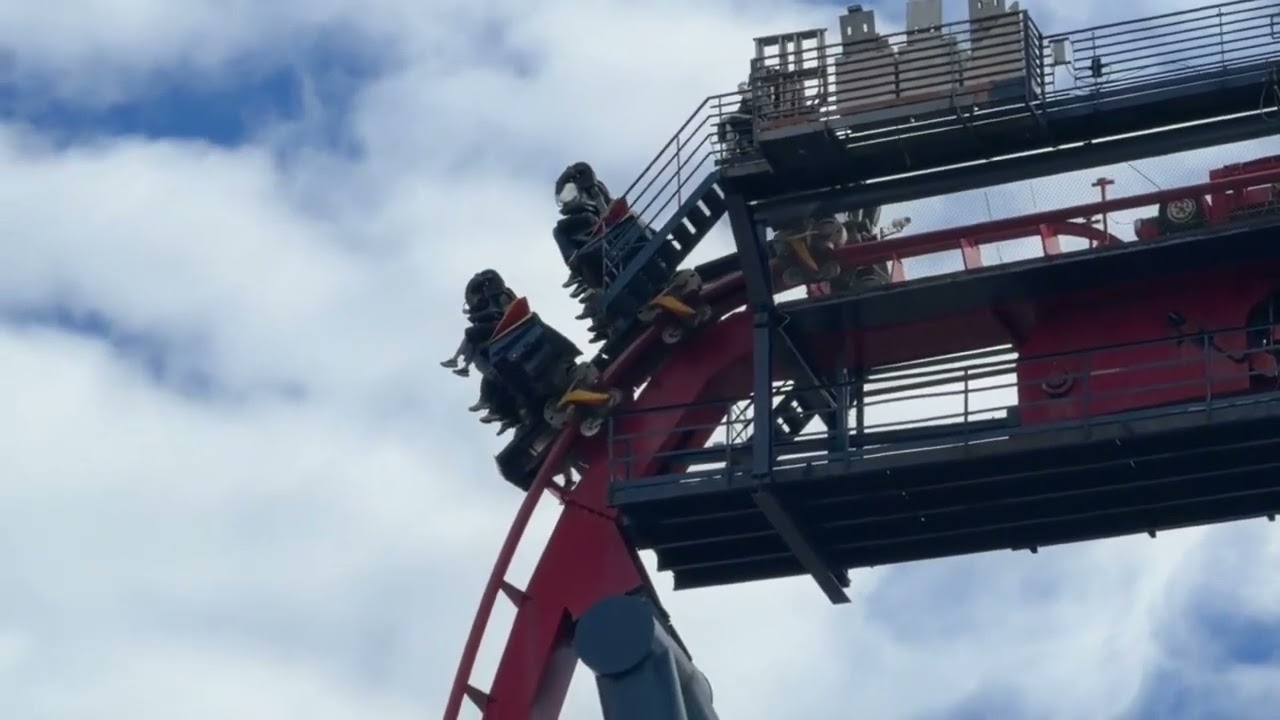 SheiKra Offride || Busch Gardens Tampa 2025