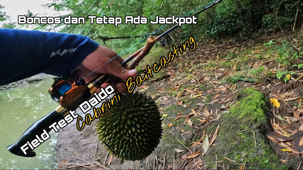 FIELD TEST NEW STREAM ROD DAIDO CABRINI BC | BONCOS WITH BENEFIT ‼️