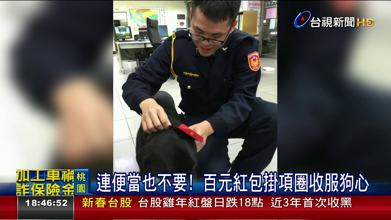 狗狗也想討紅包!小黑狗狂敲派出所大門