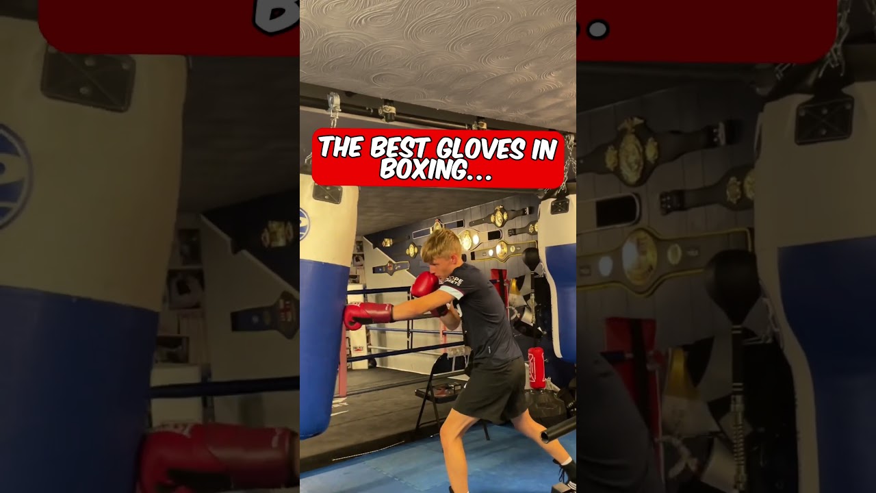 The Best GLOVES In BOXING&hellip;