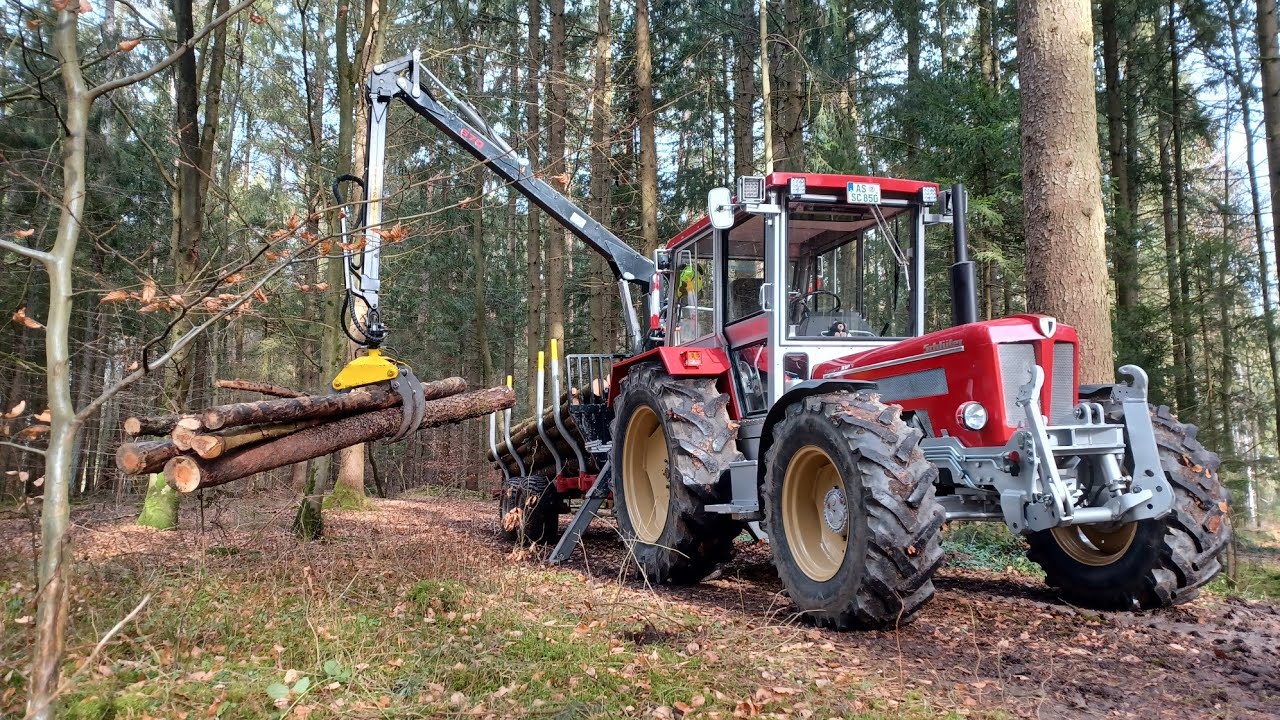 Holz aus'm Wald holen und sägen