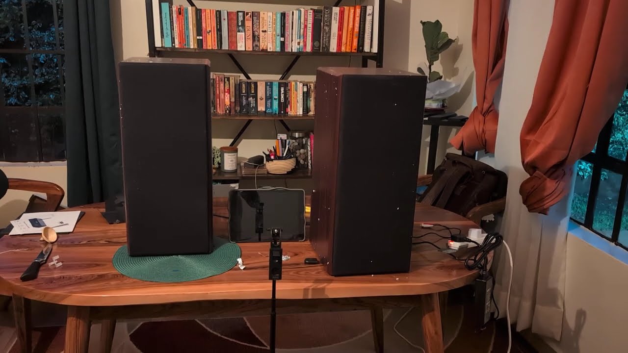 Arylic B50SE Review Kenya | Honest Test & Sound Demo 2026