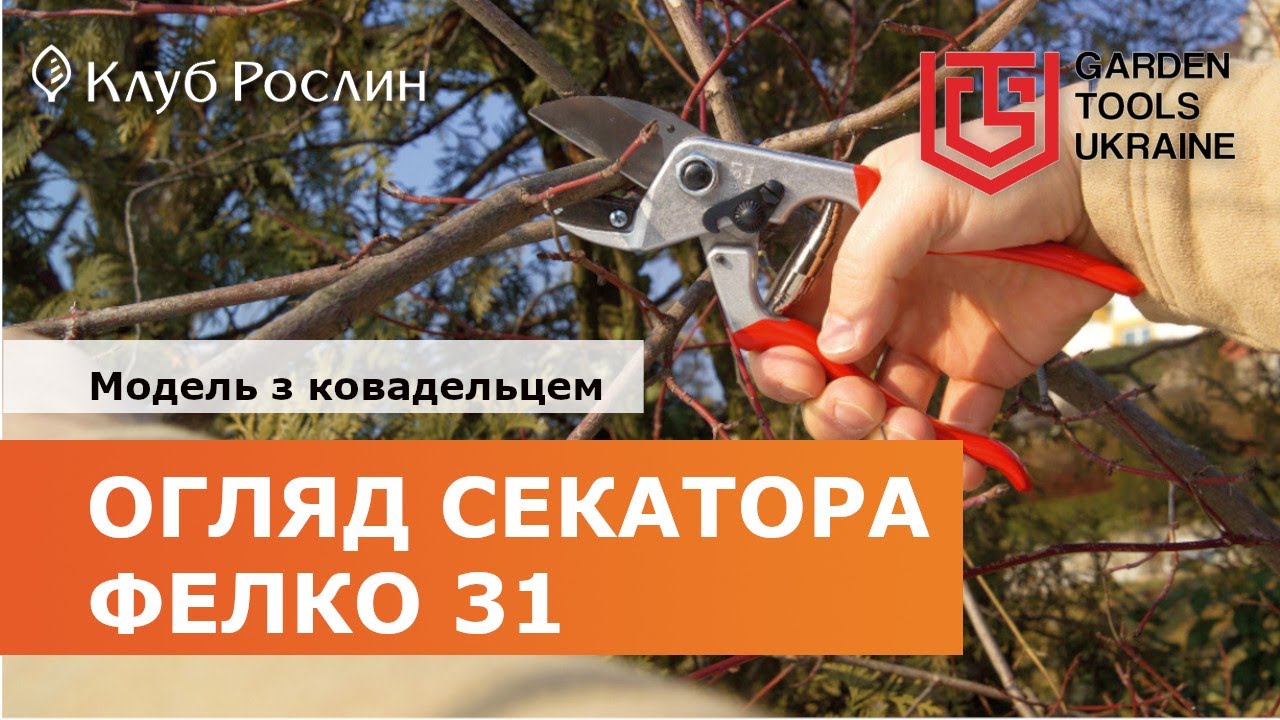 СЕКАТОР FELCO 31: ХОРОШИЕ РЕЗУЛЬТАТЫ ОТ МОДЕЛИ С НАКОВАЛЕНКОЙ