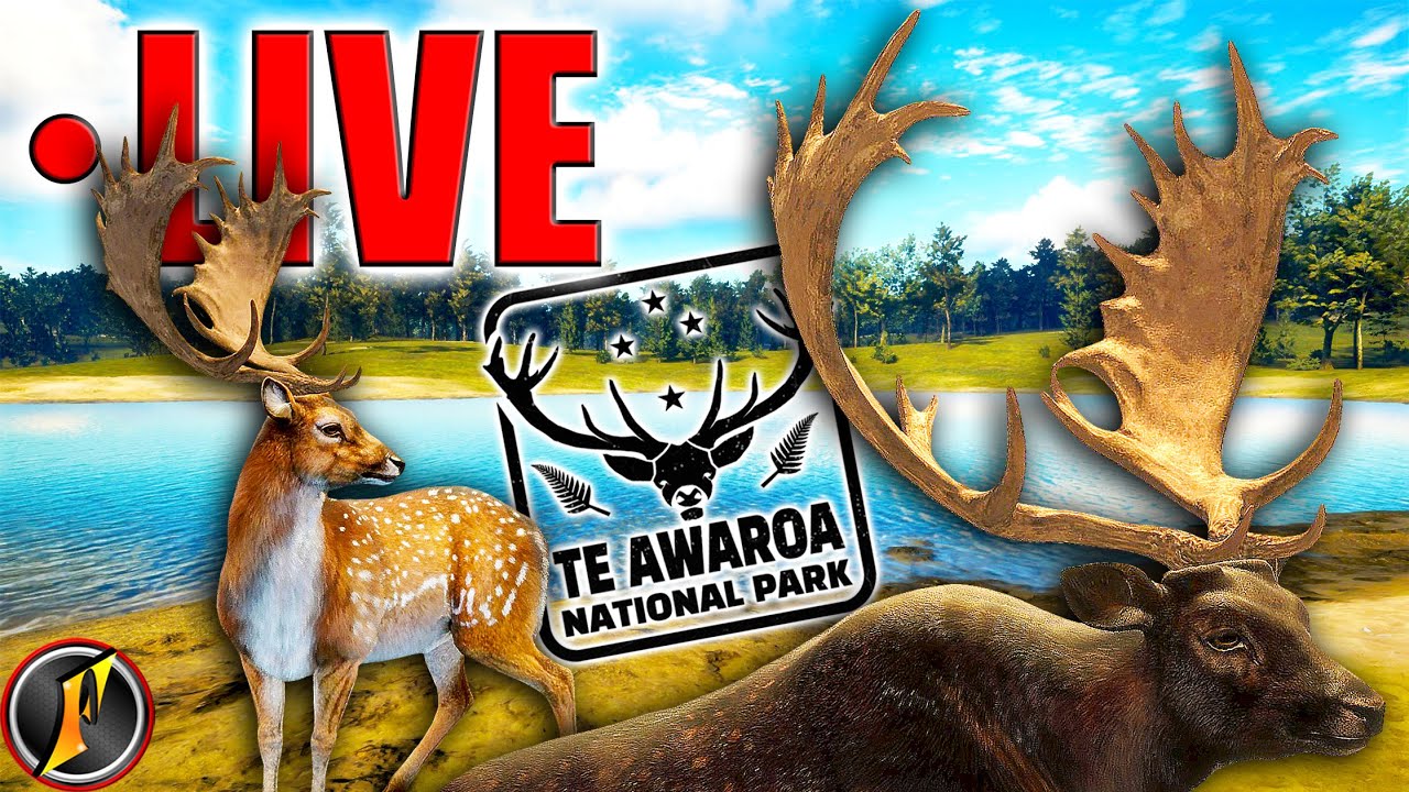 A Fellow Fallow Shooster Grinds Fallow! LIVE!