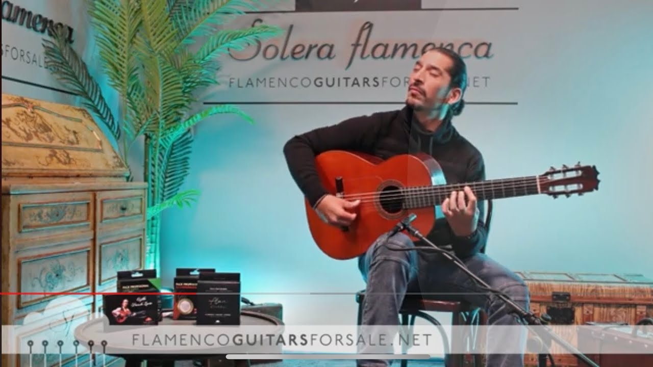 Sobrinos de Domingo Esteso 1974 flamenco guitar played by Jos&eacute; Andr&eacute;s Cort&eacute;s. S. F. Collection