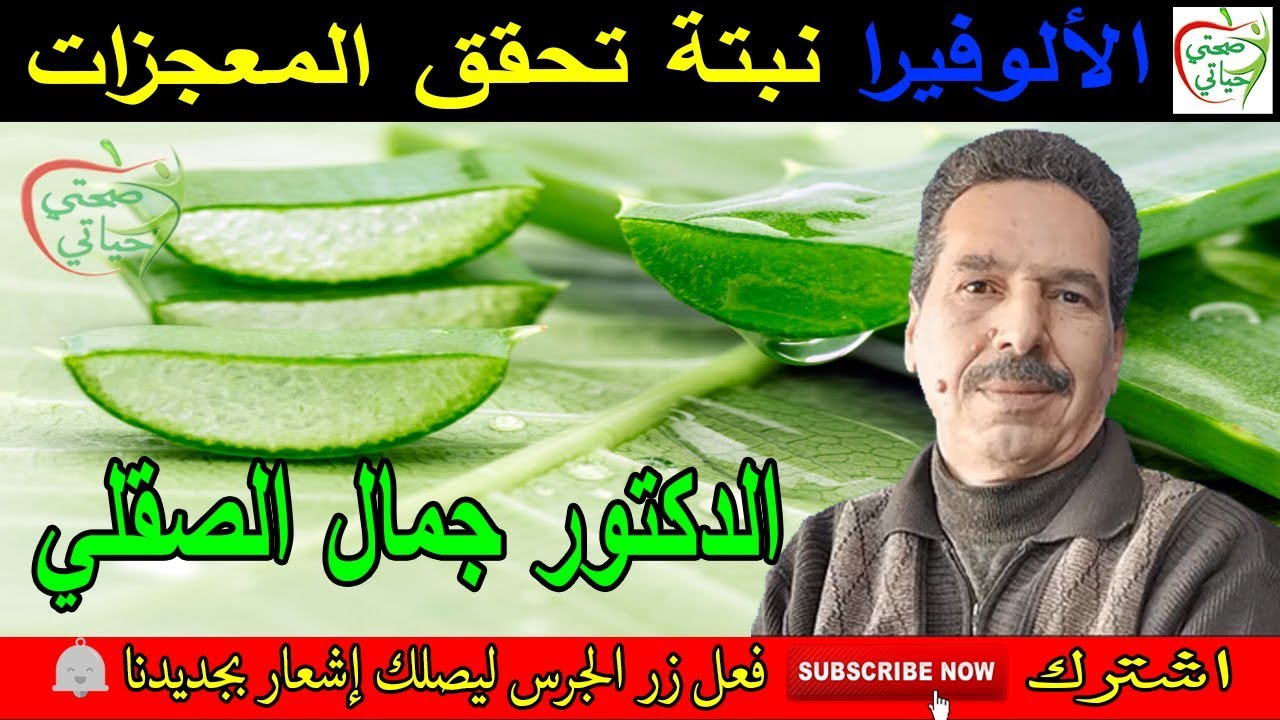 الألوفيرا نبتة تحقق المعجزات تعرف عليها مع الدكتور جمال الصقلي