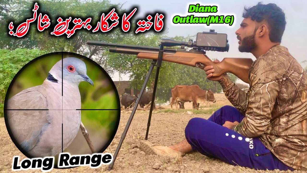 Dove Hunting Season 2023-24|Diana Outlaw(M16) Long Range Hunting|AirHunter PK