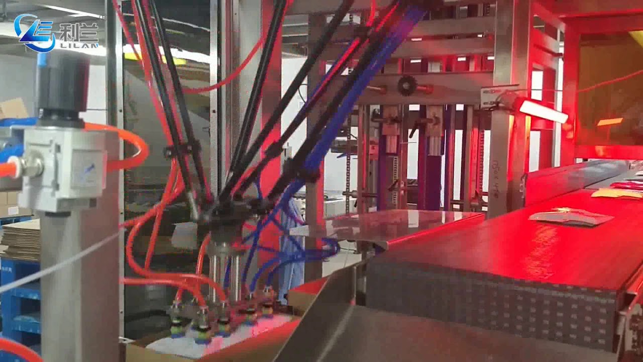 Spider picker （ABB flexpicker ）case packer for bags (belt picking)  with vision system