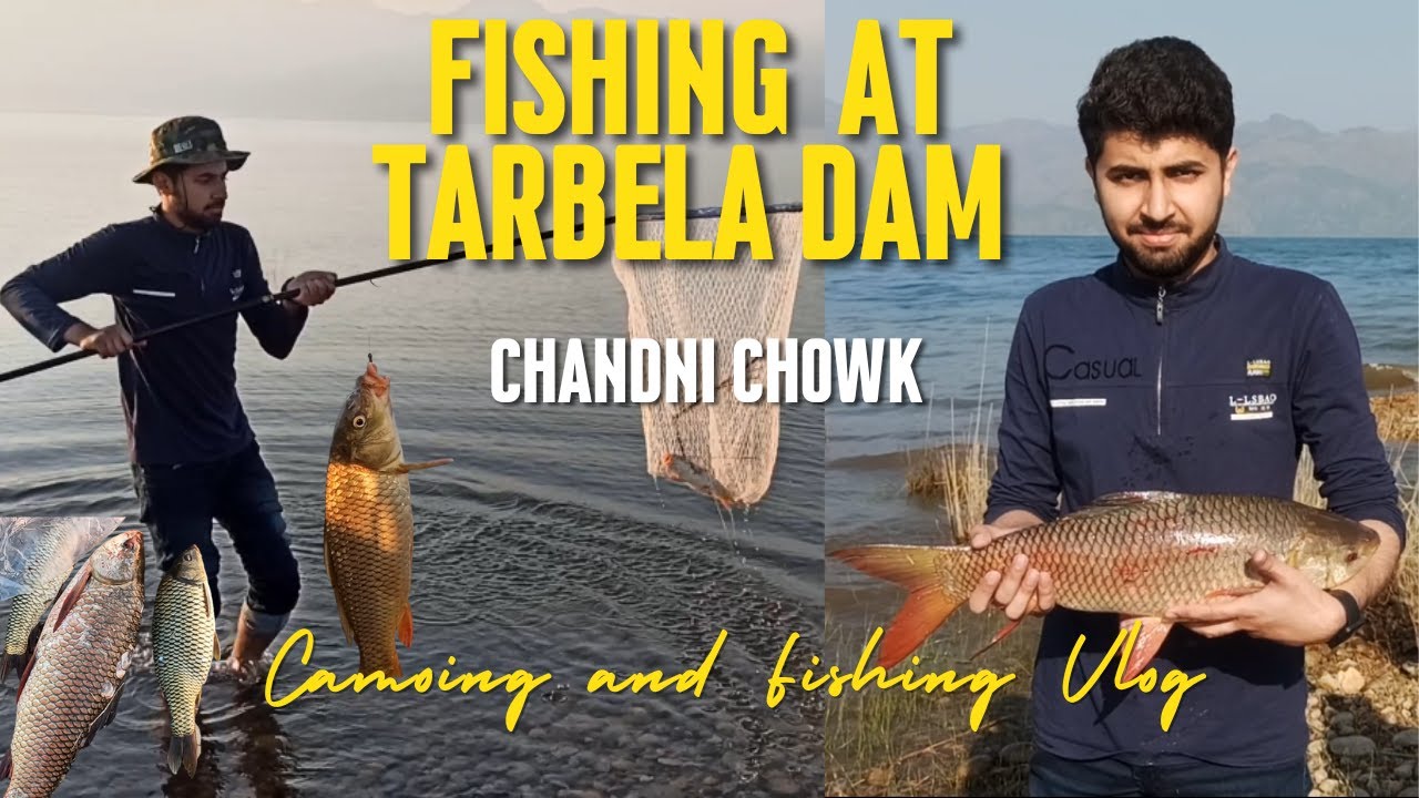 Fishing at Tarbela Dam | Chandni Chowk Tarbela | Behtareen Shikar | Big Catches | Usamas Adventures