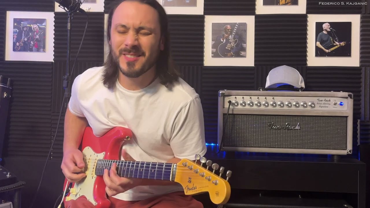Brandonwound True Blues Stratocaster Pickups Demo