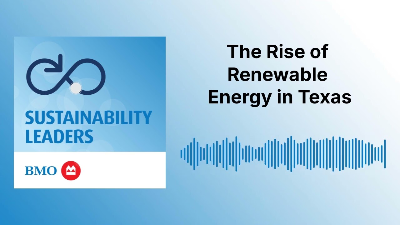The Rise of Renewable Energy in Texas | Sustainability Leaders