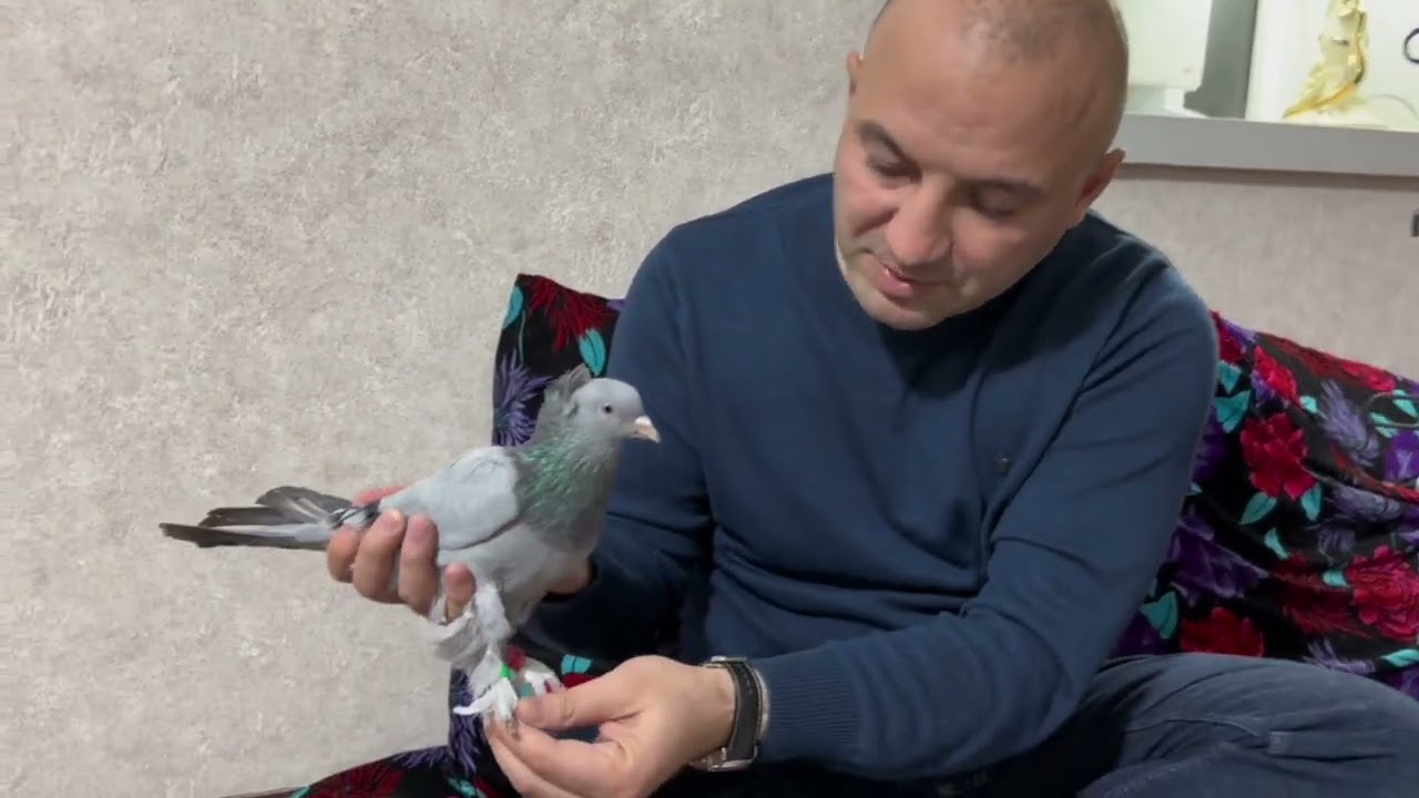 Турецкий мир 🌍🕊️ ( Мардин ) 19 февраля 2024 г.