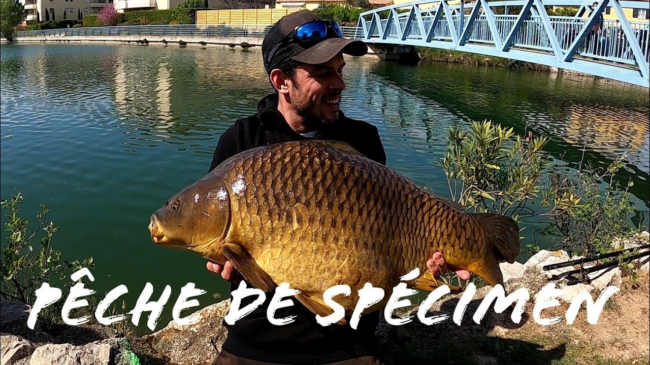 pêche de spécimen / je bats mon record