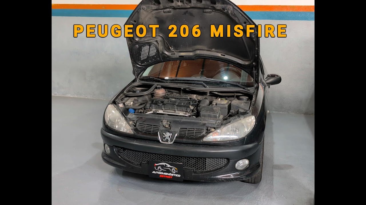 PEUGEOT  206  MULTIPLES FALLAS