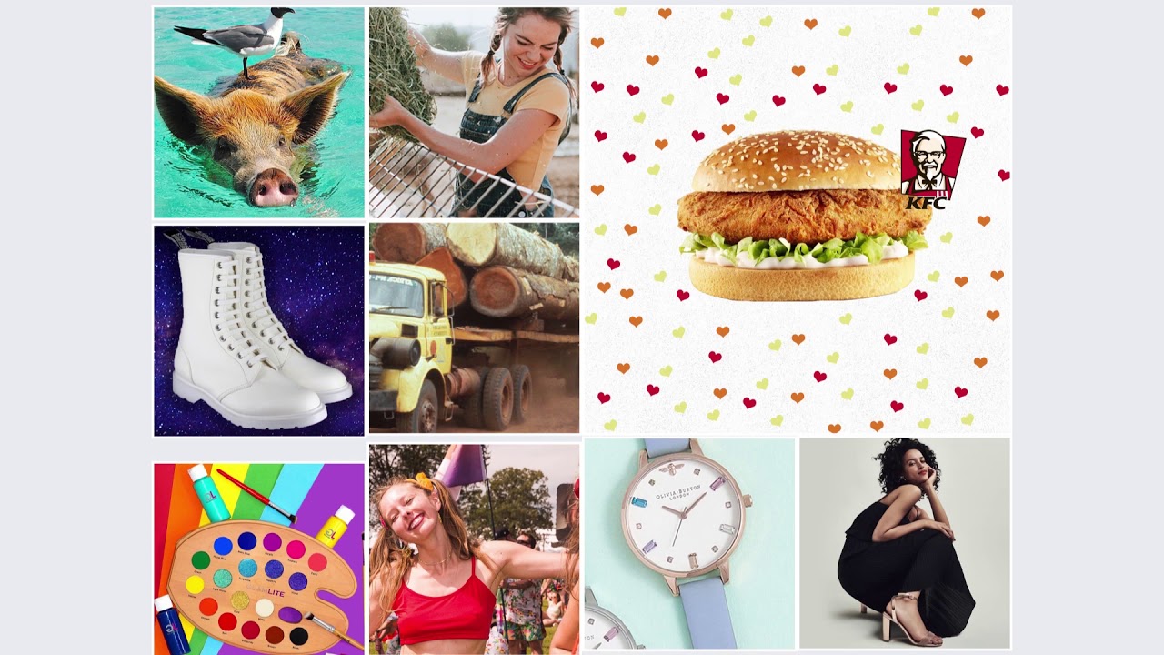 Vegans Worldwide Facebook Promotion 2019