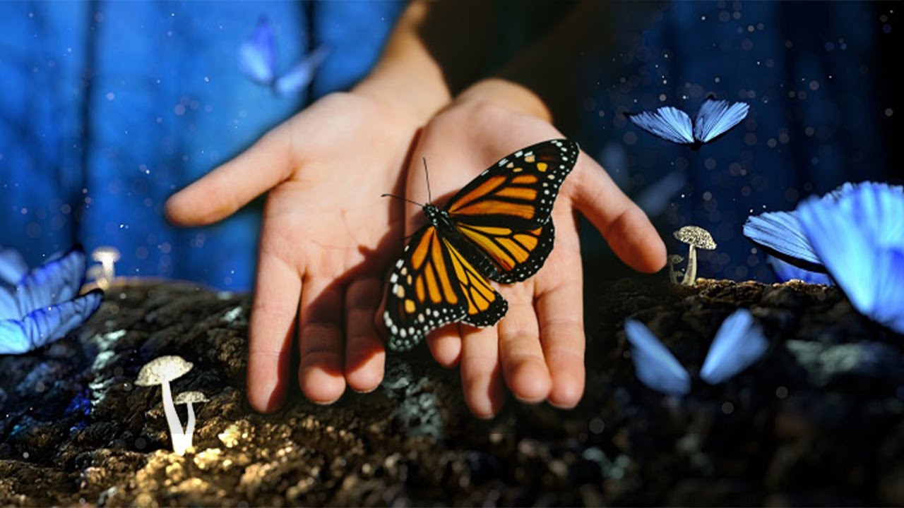 432hz Deep Sleep Music - Butterfly Spirit - Healing Music with Delta Waves and Blue Light Filter.