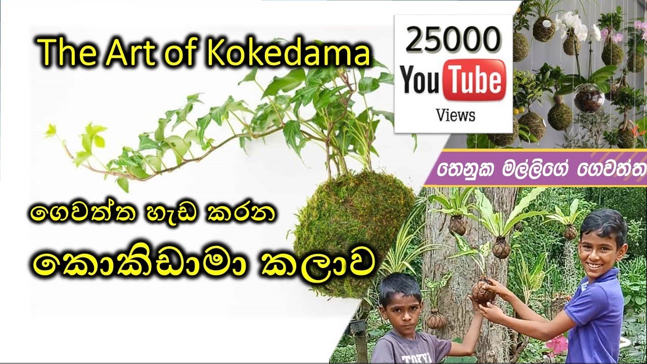 The Art of KOKEDAMA | Thenuka's Home Garden 13