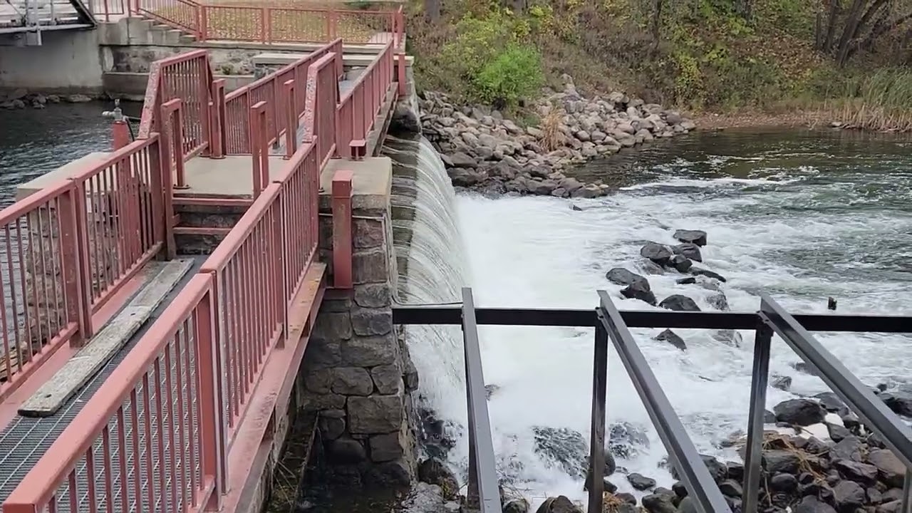 The Dam at Phelps Mill County Park