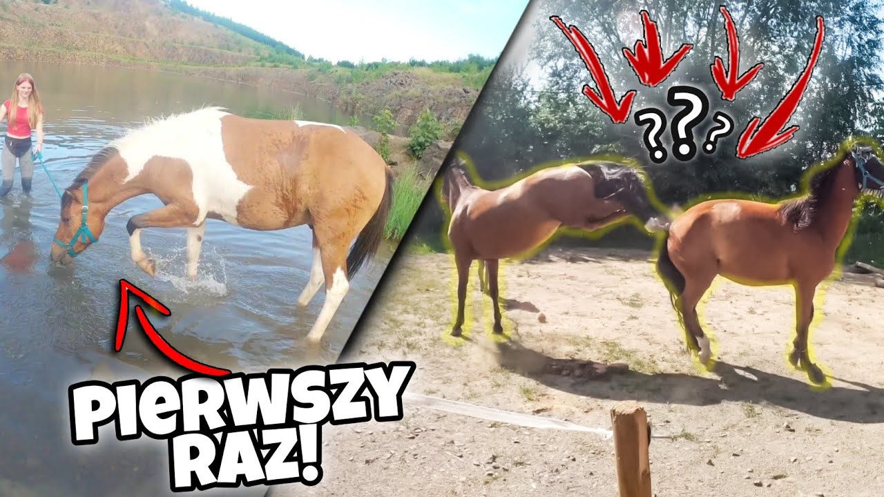 POSZLIŚMY NAD JEZIORO Z KOŃMI!