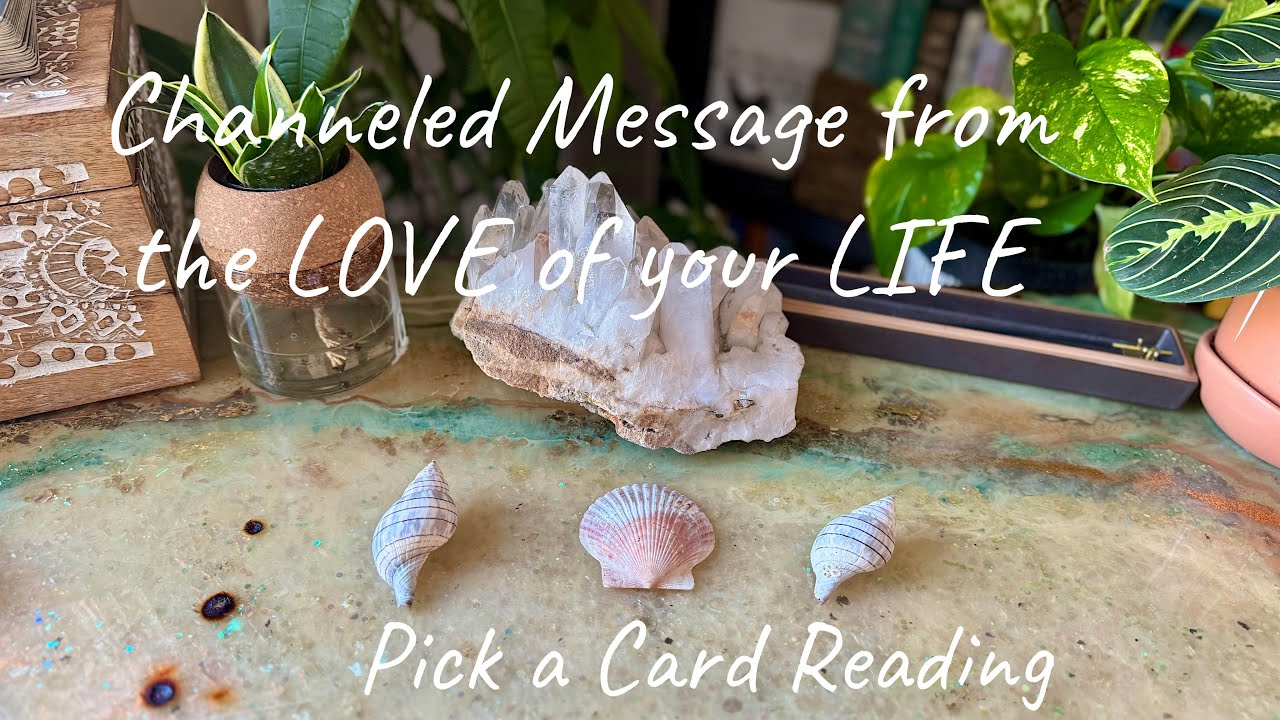 Pick A Card 🐚 A Message From the Love of Your Life (Past, Present, Future) 🐚 True Channeled Messages