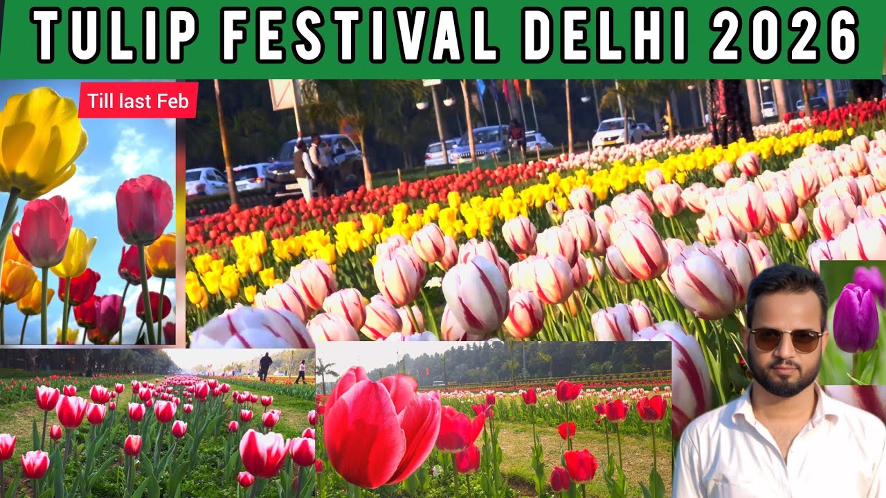 Tulip Festival Delhi 2026 | Delhi Tulip Garden | Full Guide, Nearest Metro & Travel Tips |