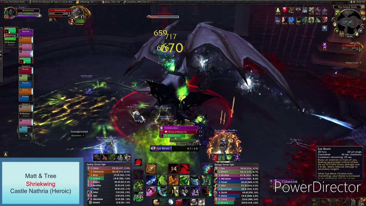 ShriekWing (Raid Guide - HEROIC)