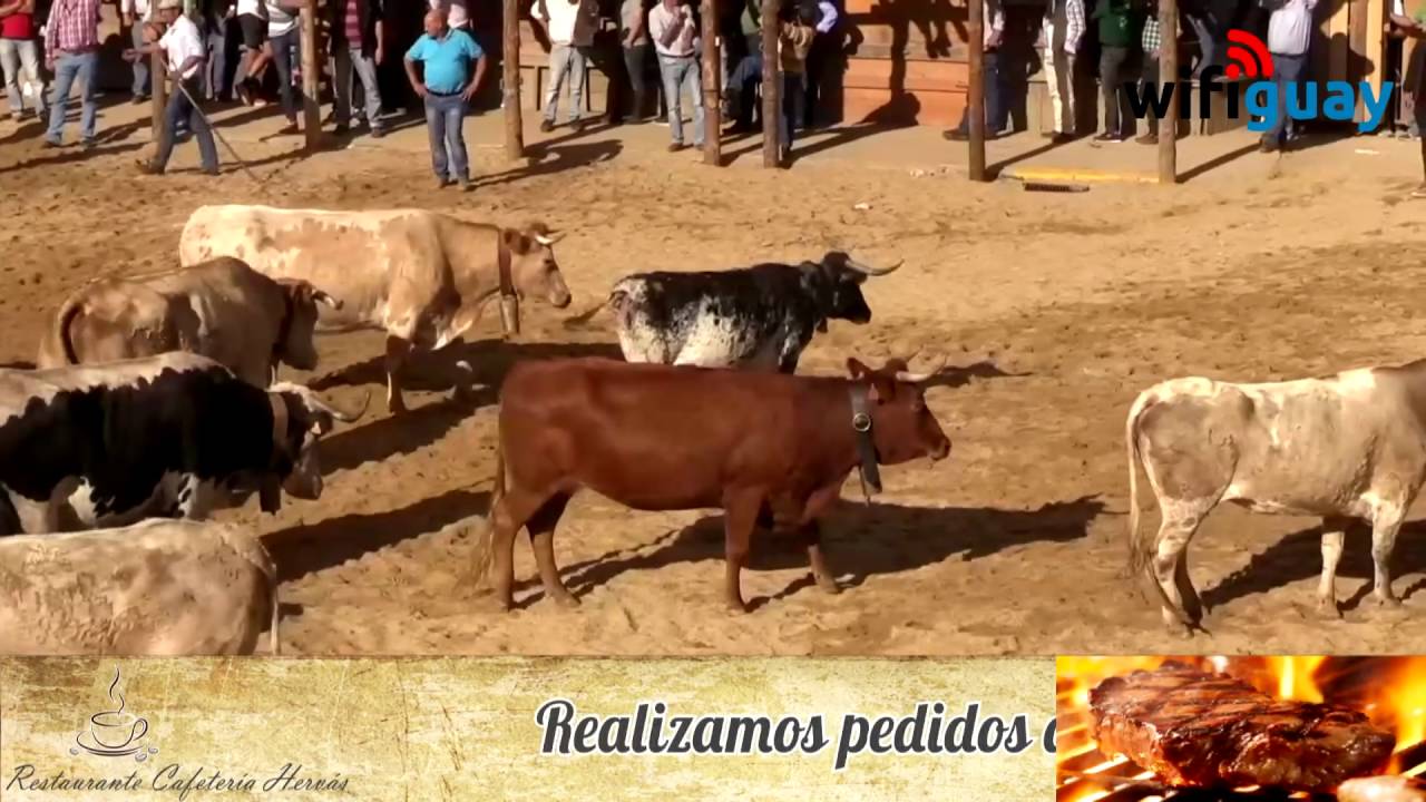 Capeas Segura de León 2016 | Capea 2º Día Segura de León (Completa)