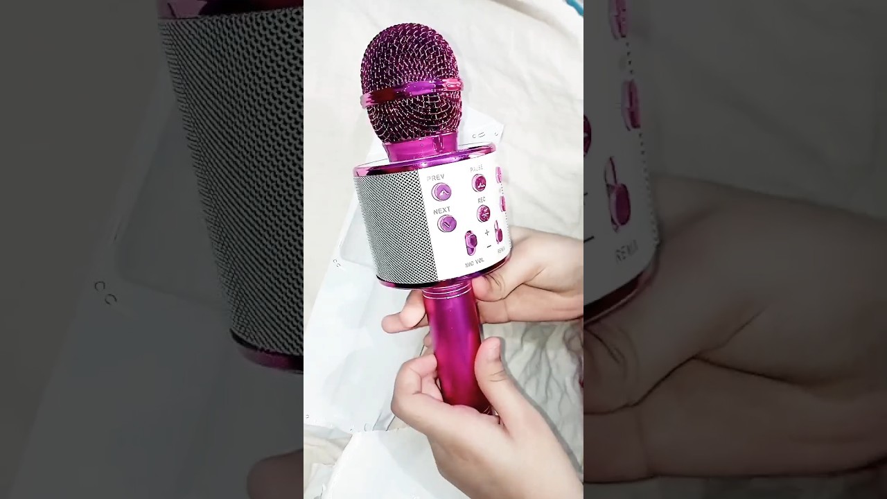 Karaoke Wireless Microphone 🎤🎙️ Hifi Speaker WS 858