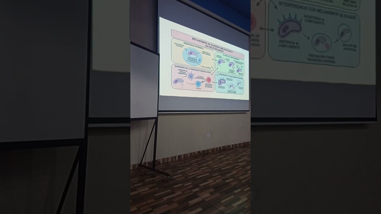 Parasitologia - característica/aula 3 parte 2