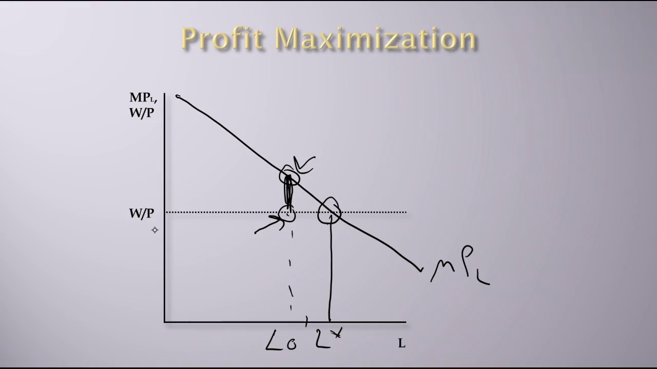 Labor Economics - Labor Demand: Short-Run Profit Maximization