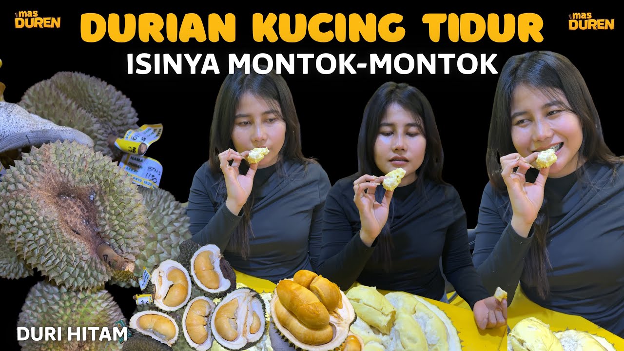 DURIAN HITAM KUCING TIDUR  
