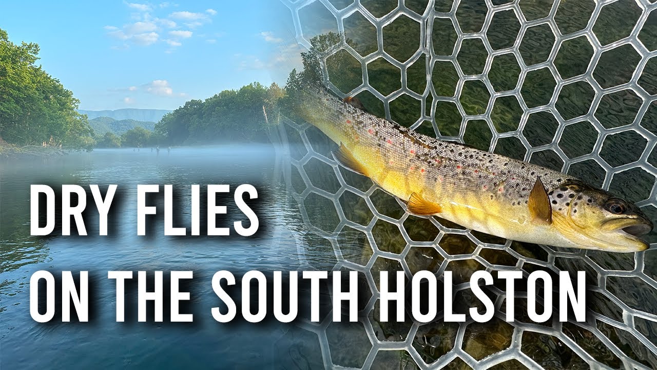 South Holston River - The Best Tailwater in Tennessee?