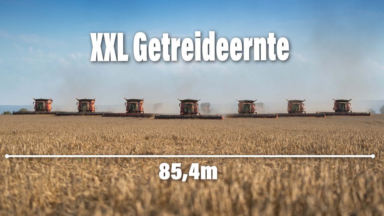Getreideernte XXL | 85,4m Arbeitsbreite | Case M&auml;hdrescher | Tupag Agrar