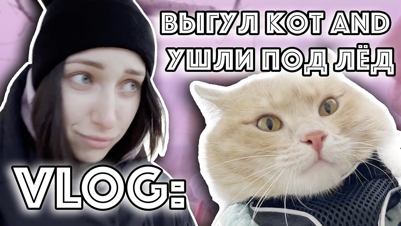 VLOG: Выгуляли КОТА !! | ЧУТЬ не ПРОВАЛИЛАСЬ под ЛЁД!!!!!! | СТРАХ // VALERIIA YERMAKOVA