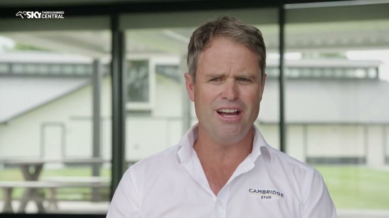 CAMBRIDGE STUD - 2022 NZB YEARLING PREVIEW - SEARCYMEDIA