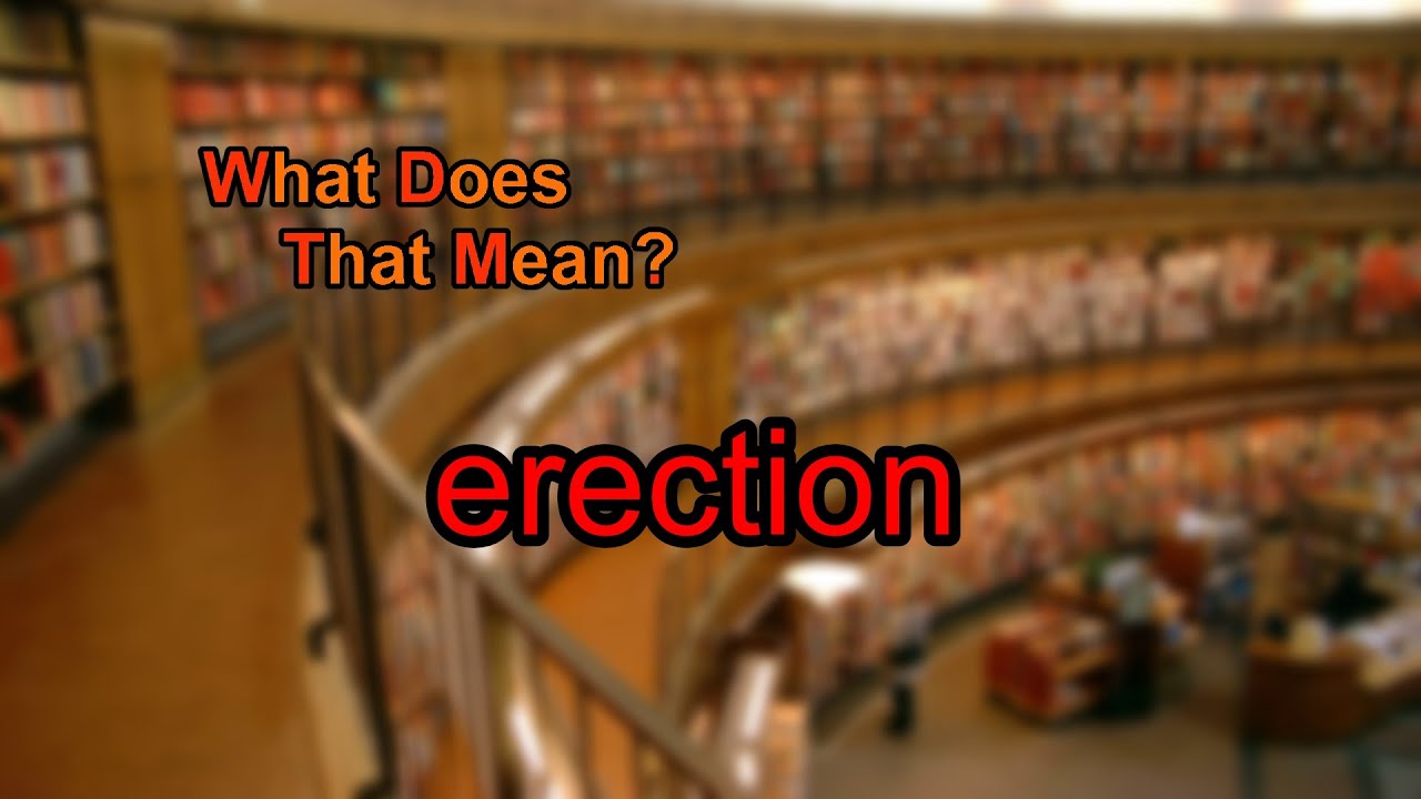 What does erection mean?