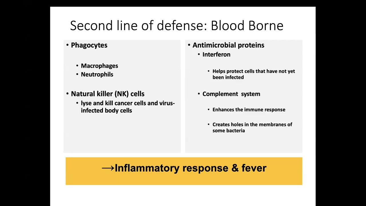 Topic 3   Immune System Part 1