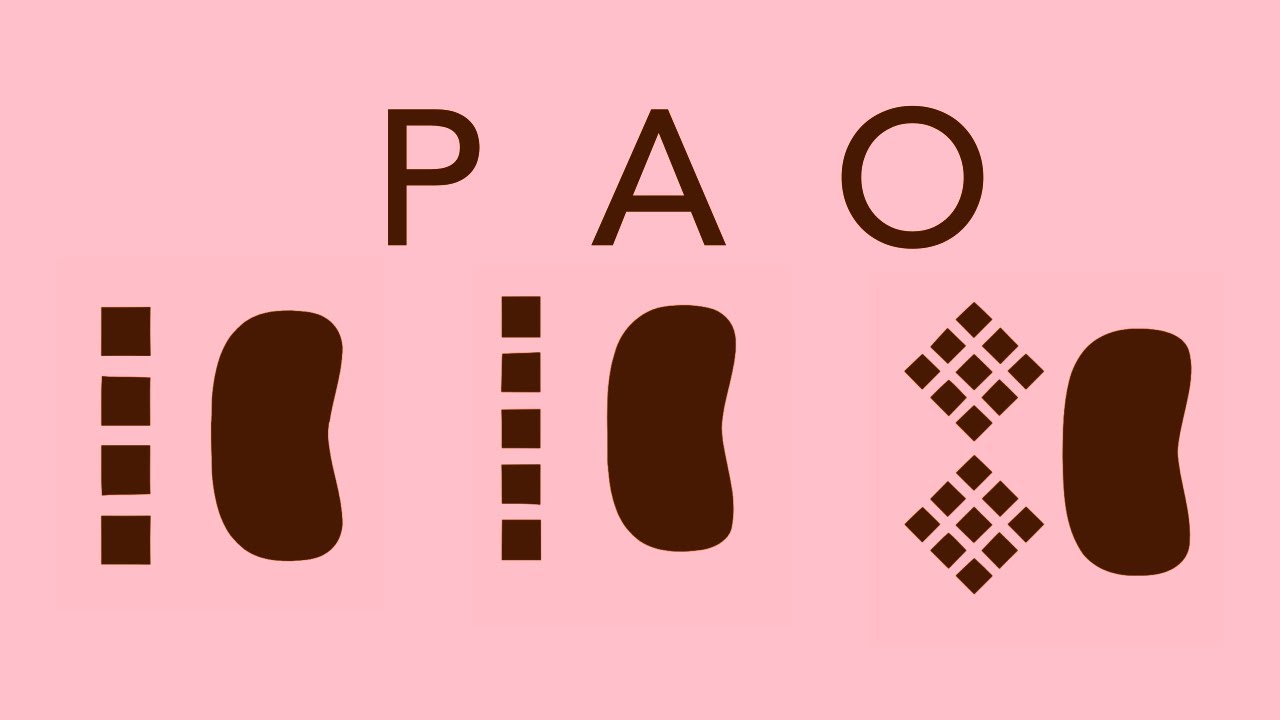 What is PAO and is it good for blindsolving? (4BLD 5BLD MBLD)