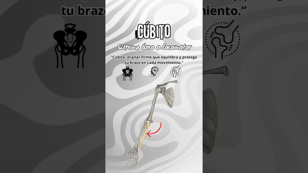 C&uacute;bito