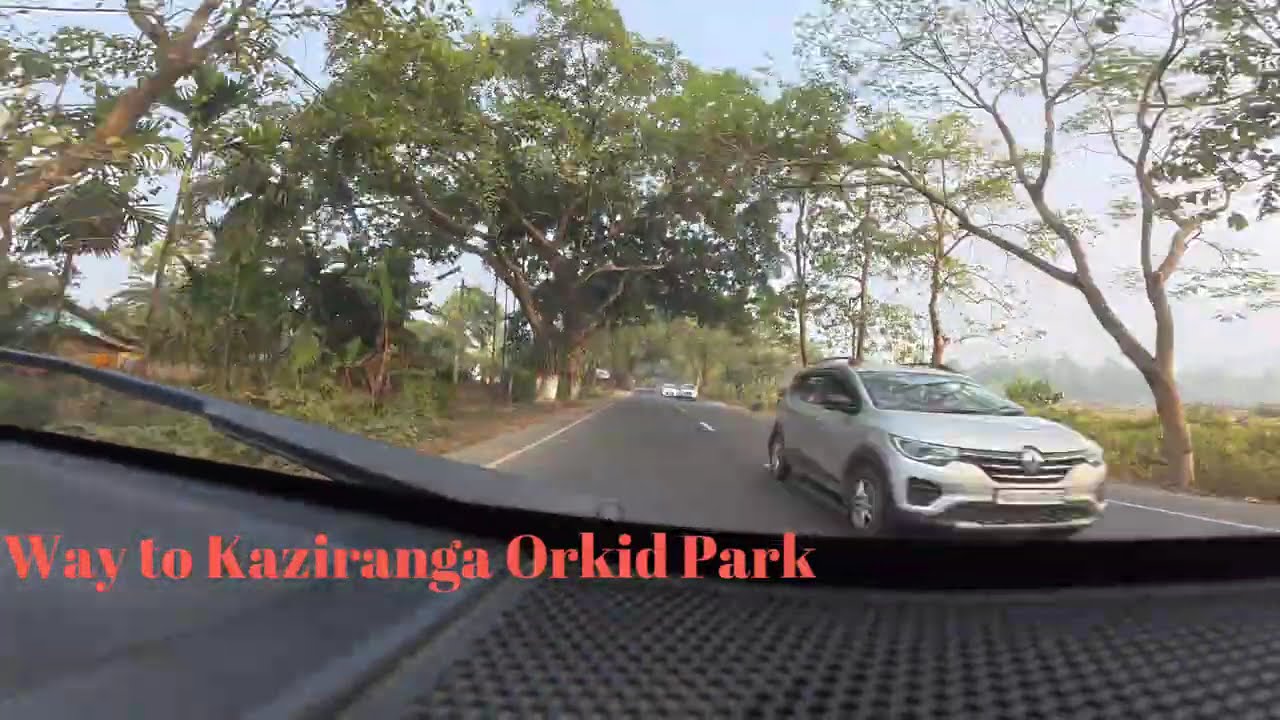 !! Way to Kaziranga Orkid Park  !!