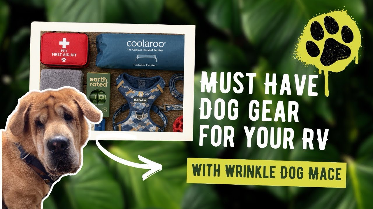 Dog Gear for RV Travel - Our Favorite Van Life Dog Essentials
