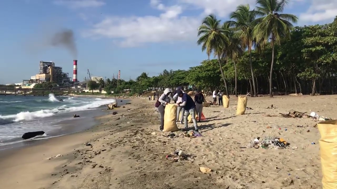 Limpieza hoy de la playa Gringo 