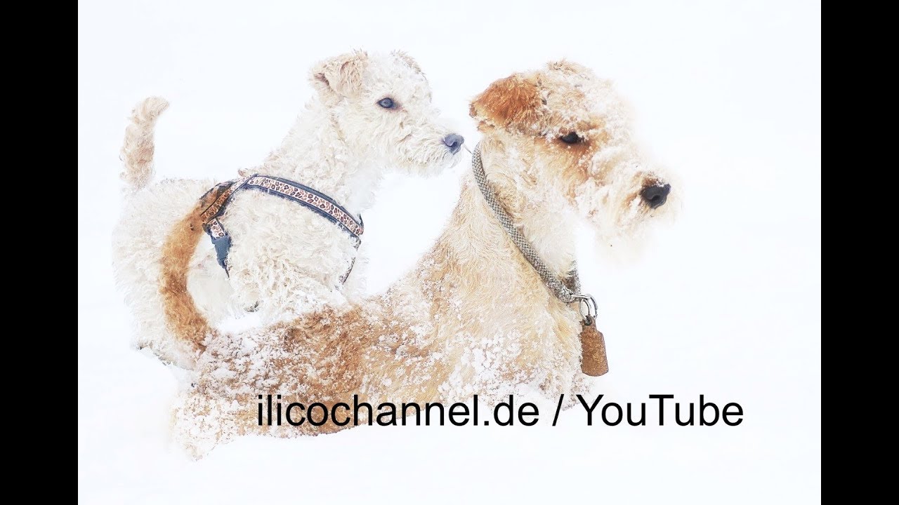 YouTube by ilicochannel - Ihre Aufnahmen als 