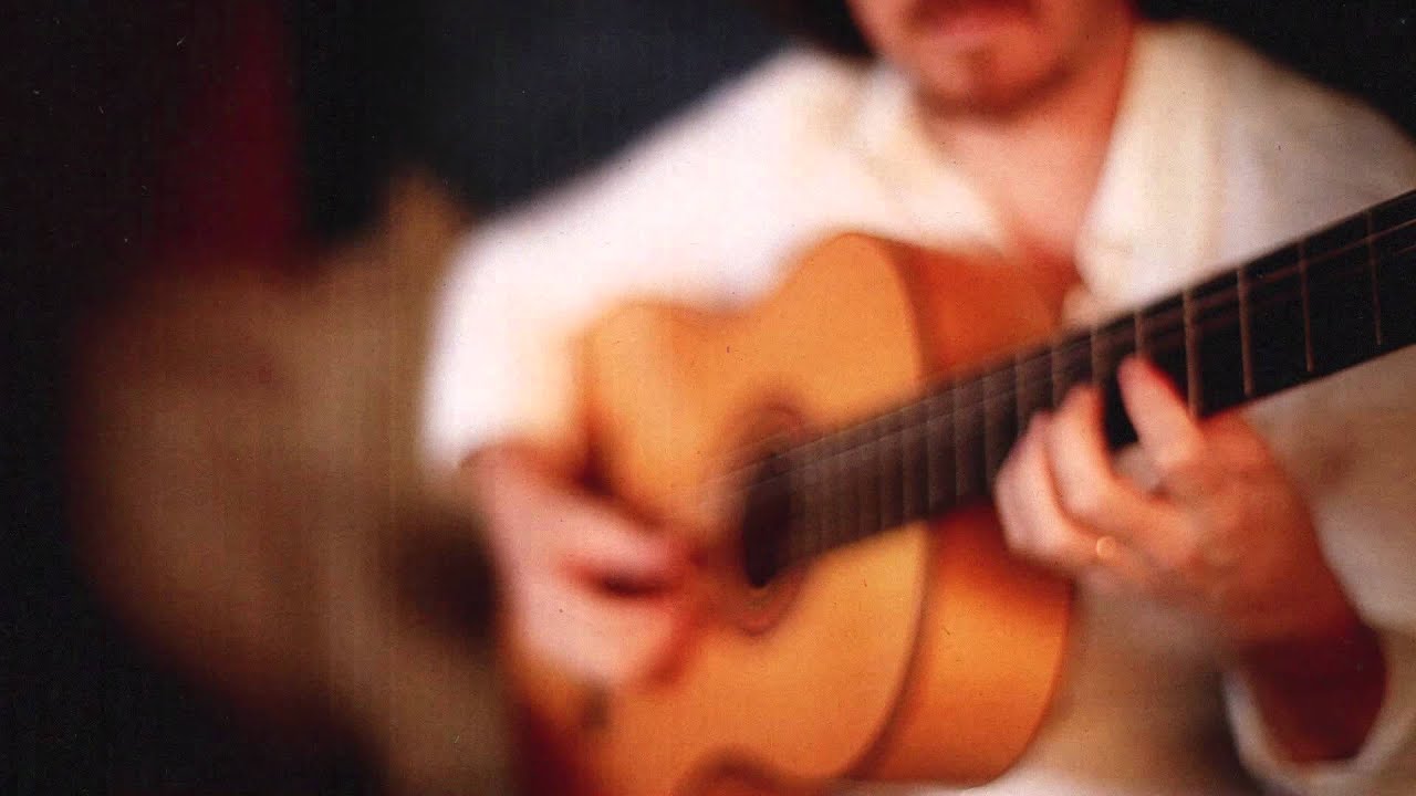 Corazon Cobarde - Amarraditos